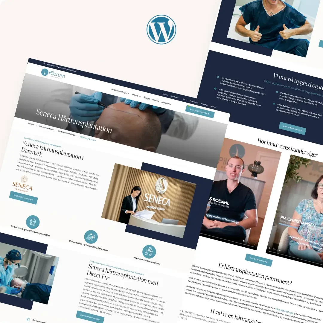 WordPress